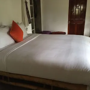 Guest house An Bang Hideaway