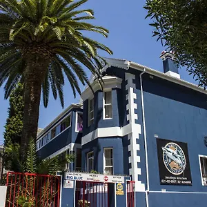 https://big-blue-backpackers-lodge.hotels-capetown.com